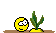 Hau